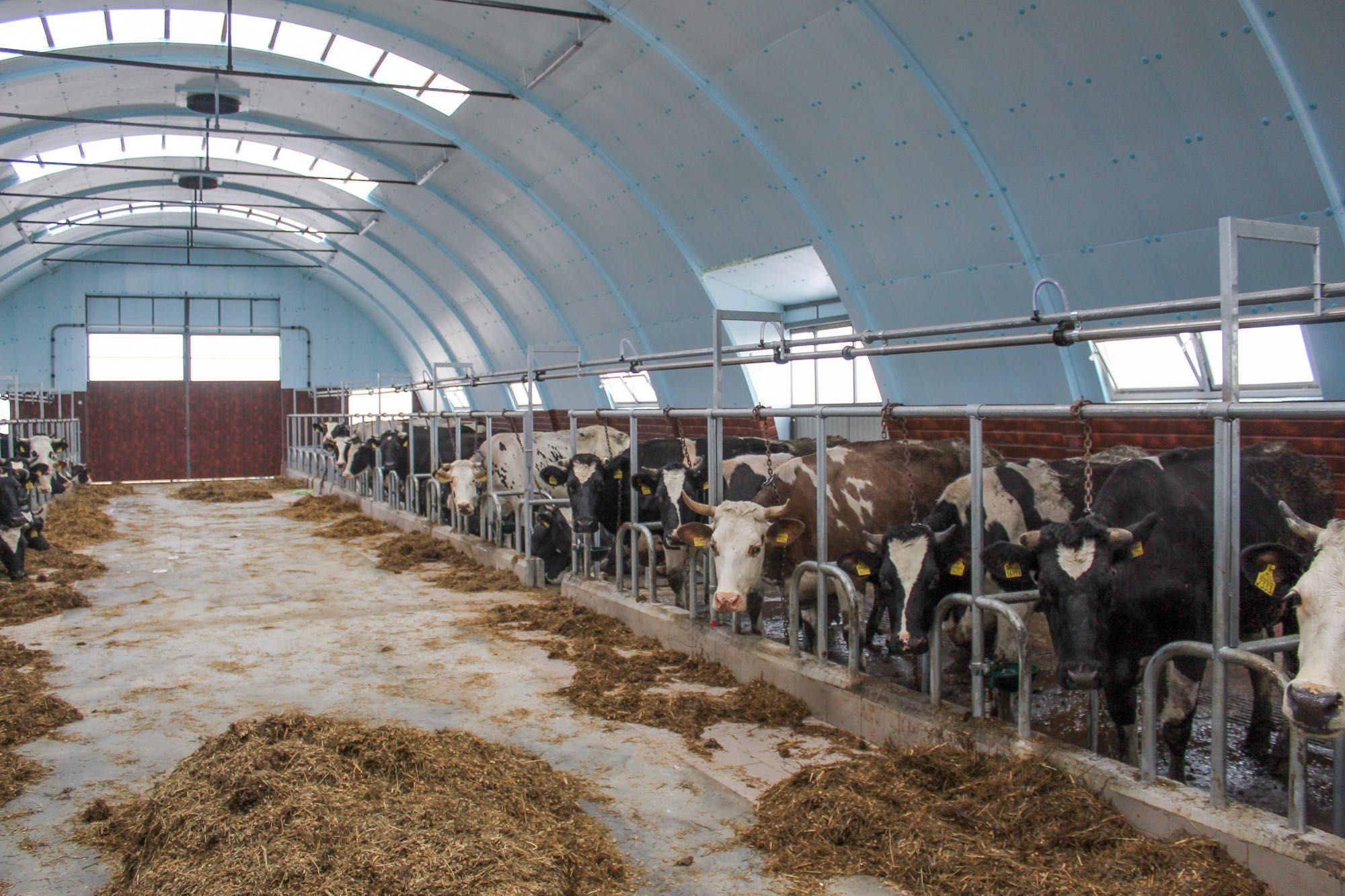 Termoizolacja Hala Łukowa Tunelowa Stalowa Agrohala Styrodur XPS AGRO