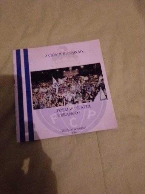 livro a cidade e a paixao...poemas de azul e branco