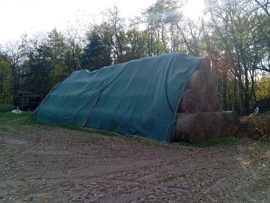 Sprzedam siano baloty 130