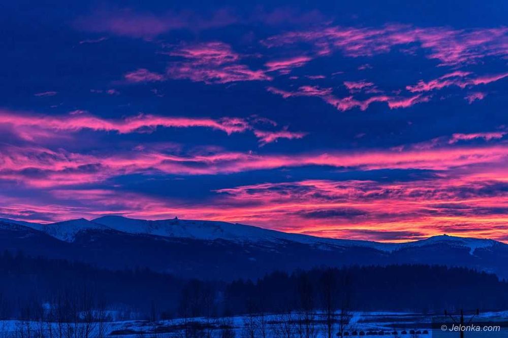 Buty do nart biegowych Salomon RC10 47 Prolink