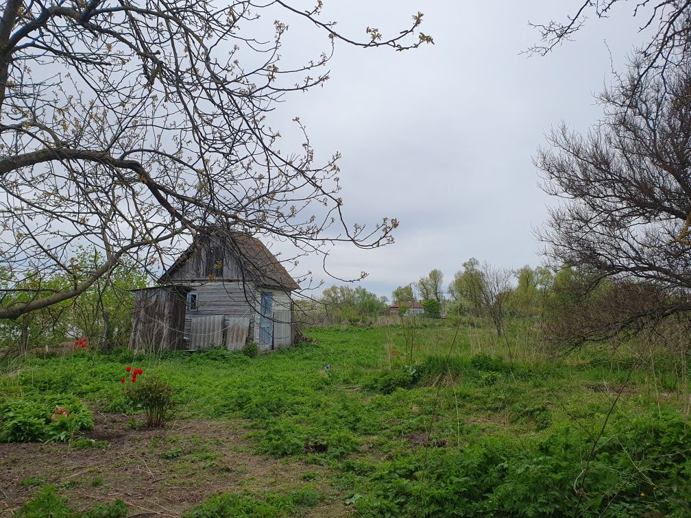 Будинок з банею, чорнозем, село не було в окупації