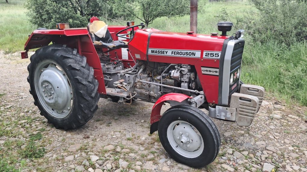 Massey ferguson 255 ursus 3512 mf 235 W oryginale! Zadbany 2812