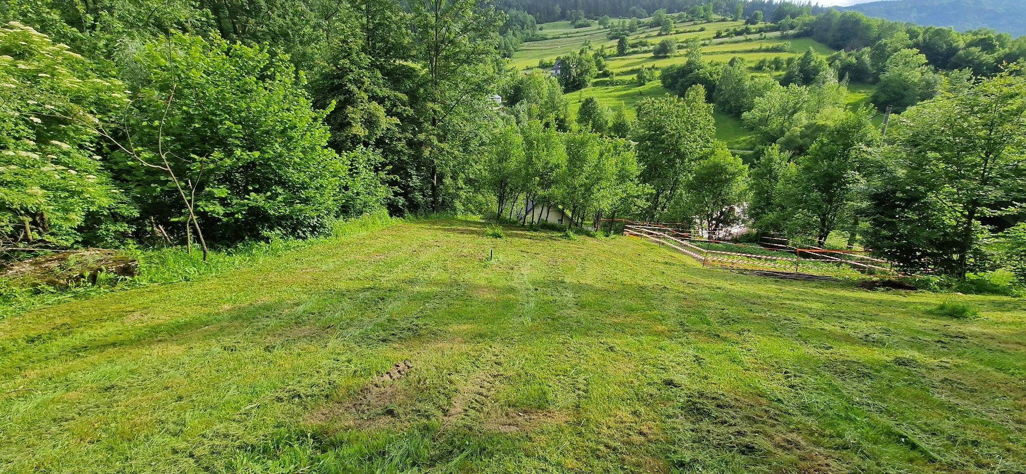 Wykaszanie łąk, trawników.