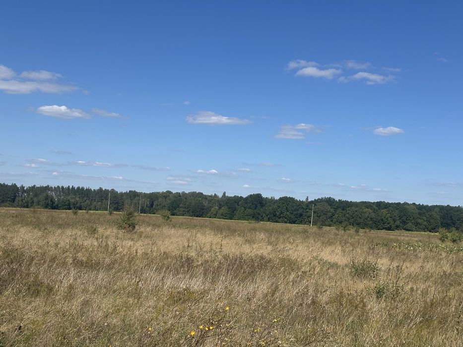 Пропонуємо до продажу земельну ділянкув с. Свидівок