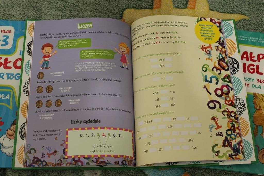 Cała seria książek "Ilustrowany Słownik..."
