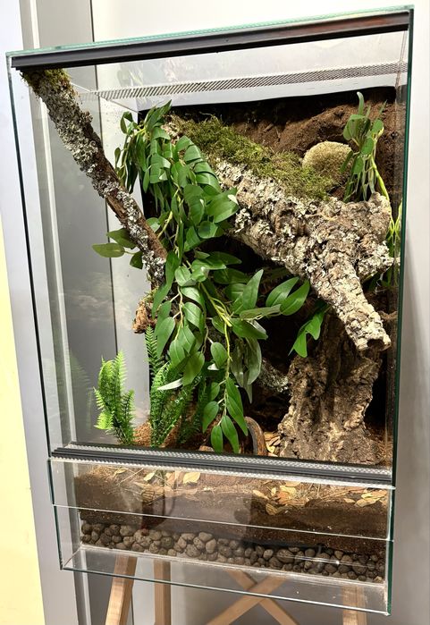 Terrarium 40x40x60cm dla gekona orzesionego