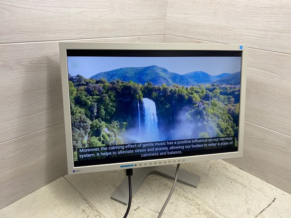 Монітор Eizo FlexScan S2202D 22" 1680×1050 TN + вбудовані колонки