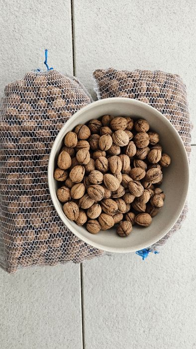 Orzechy włoskie tegoroczne 10zł/kg