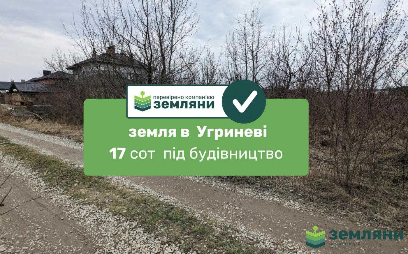 Угринів, урочище «біля березівського» 17 сот