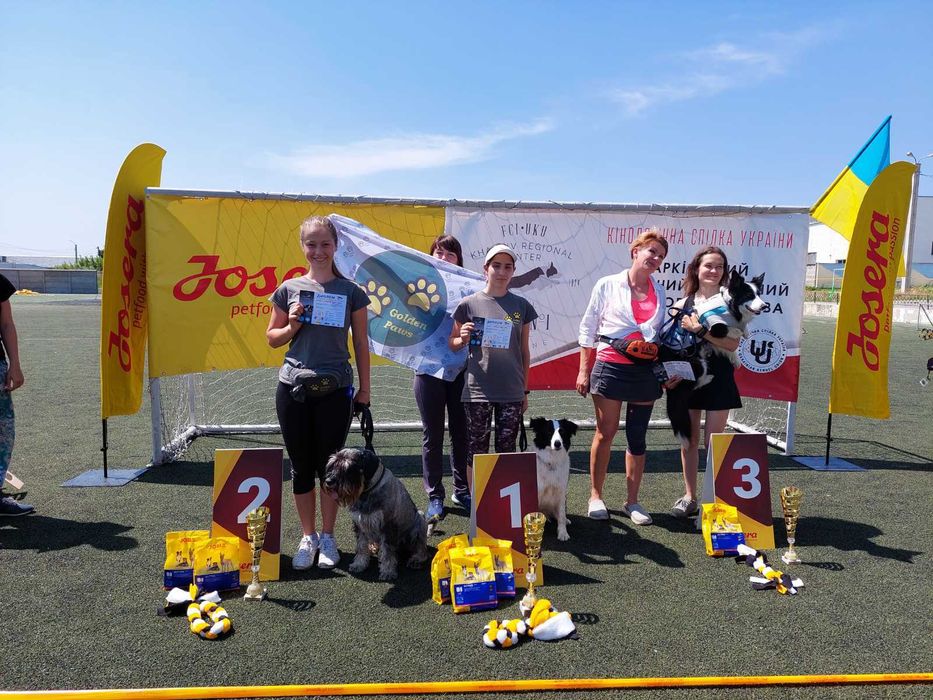 Дресирування собак усіх порід: слухняність, спорт з собакою (аджиліті)