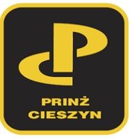 Konstrukcja pod panele fotowoltaiczne jednopodporowa PRW1H3x6