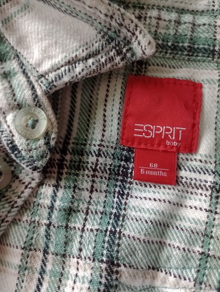 Koszula Esprit 68