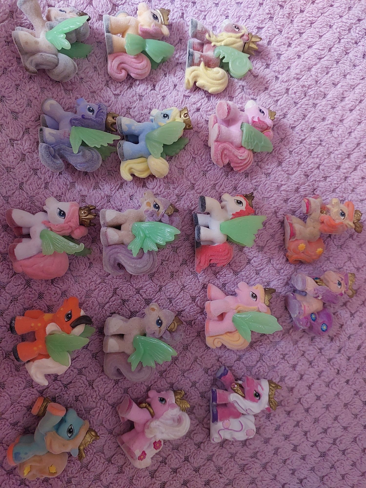 Поні філлі, pony filly