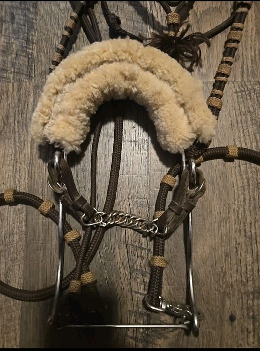 Хакамора з мотузковим оголів'ям та поводом