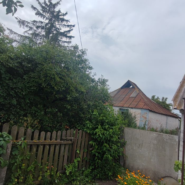 Продам старий будинок з ділянкою в селі Лосятин!