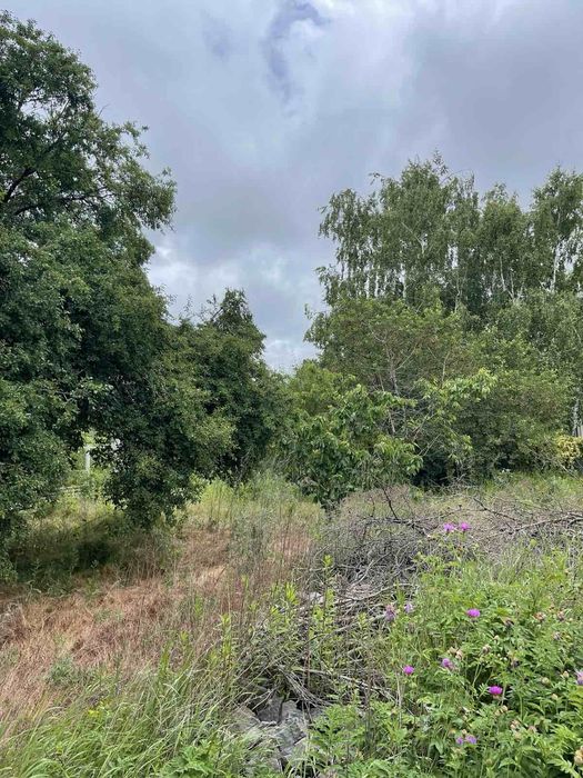 ПРОДАМ!!! Дом 250 м + 10 соток  ул.Шевченко/с.Сухой Лиман