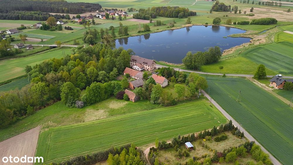 Działka, 1566.0 m², Borki Wielkie
