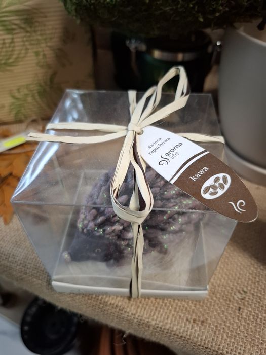 Jeżyk świeczka aroma life