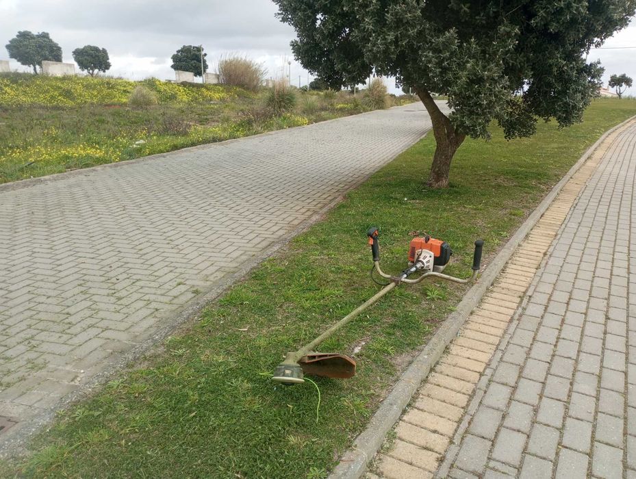 JARDINEIRO Manutenções construção jardins