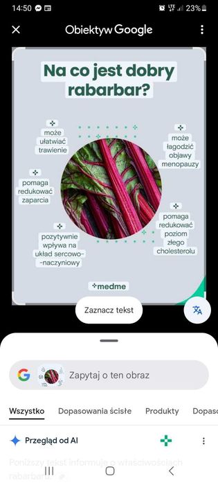 Rabarbar-łodygi świeże