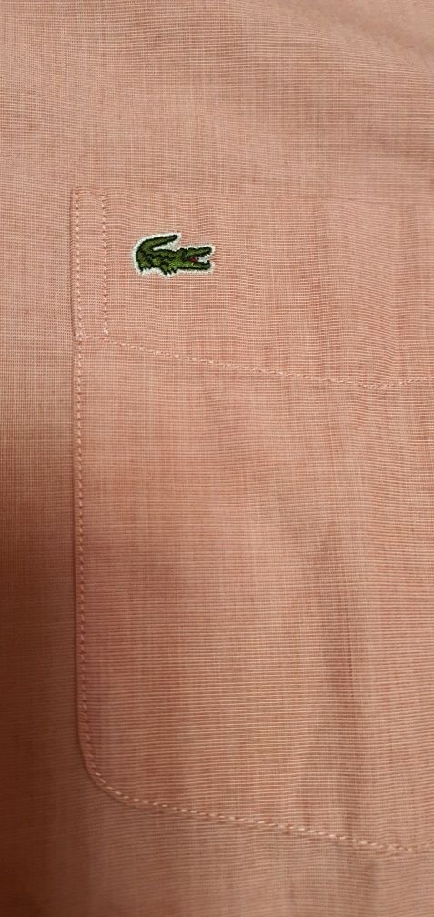 Тенниска рубашка сорочка Lacoste p.50