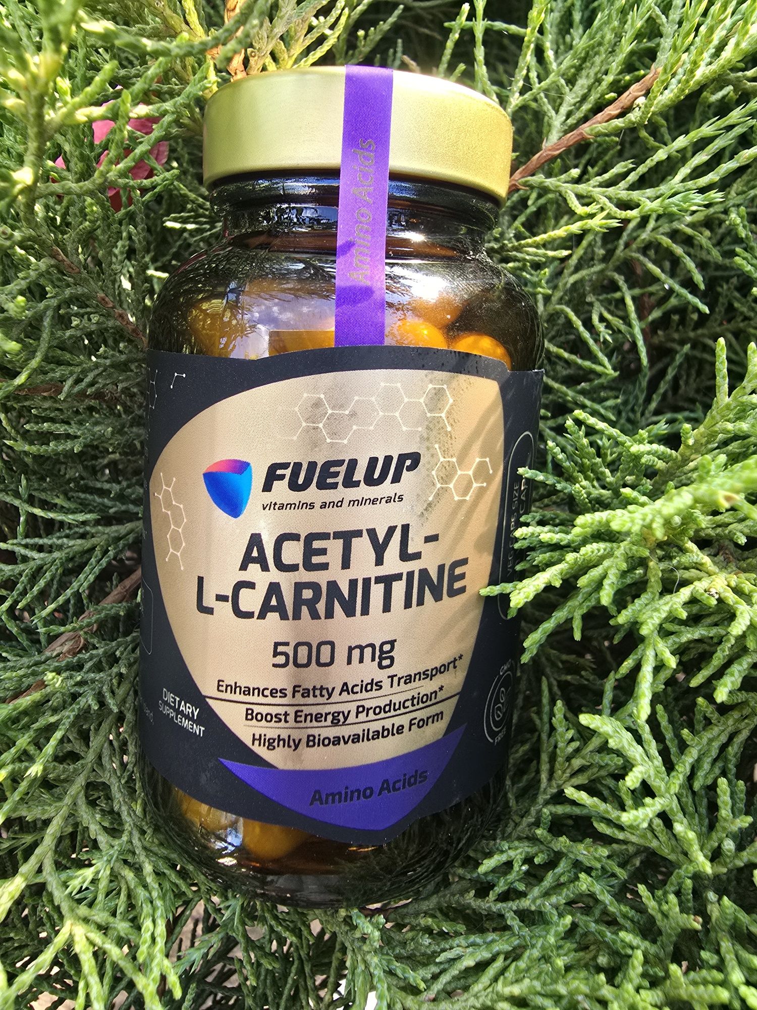 Fuelup, L-carnitine, acetyl-l-carnitine, 60 капсул, л карнитин
