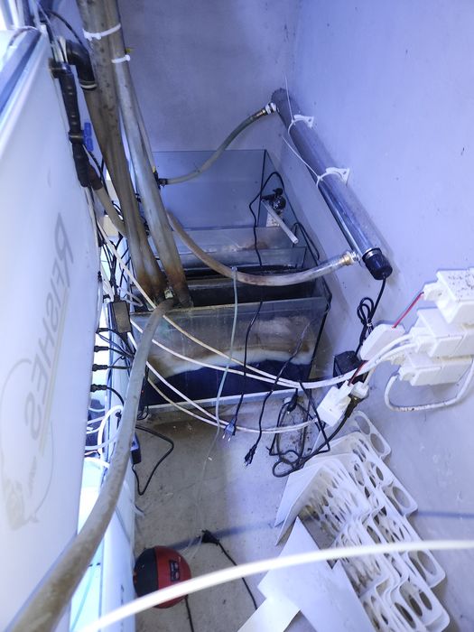 Bateria de aquarios com sump