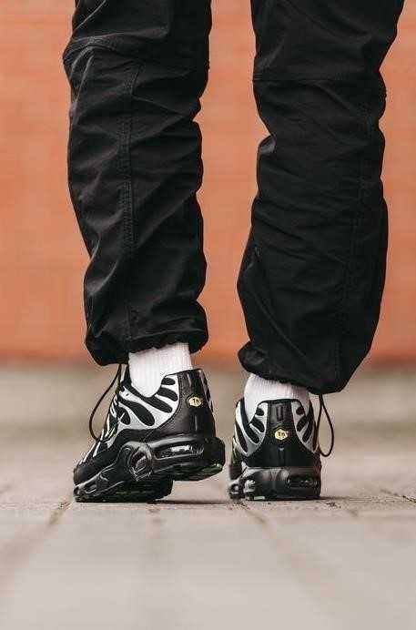 Мужские кроссовки Nike Air Max Plus Tn 40-45 найк аир Хит