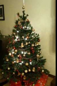 Árvore de Natal sem decoração