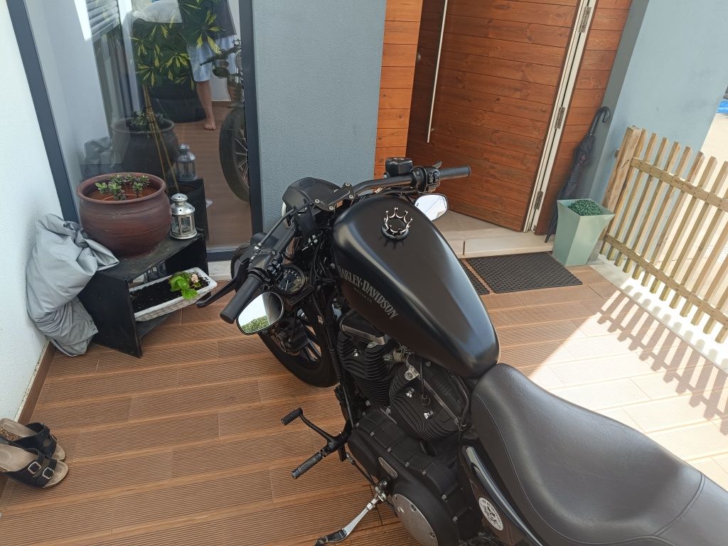 Harley Davidson iron 883 xl
