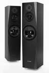 Pylon Audio Sapphire 31 kolumny głośniki różne kolory
