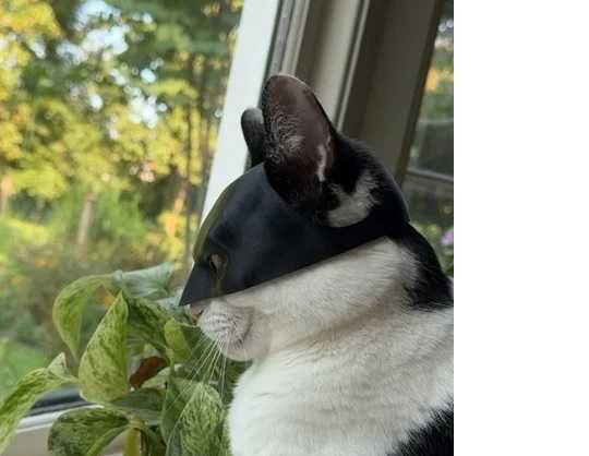 Maska dla kota - Bat Cat