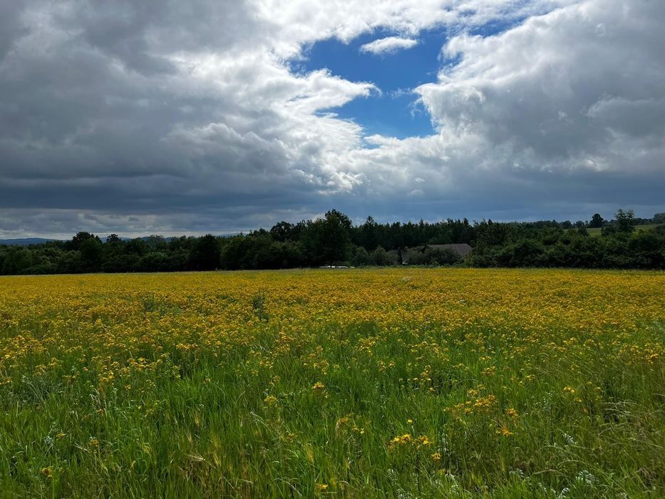 Działka budowlana w górach na sprzedaż - Starków, Kotlina Kłodzka