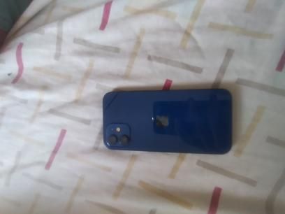 IPhone 12 64 gigas novo