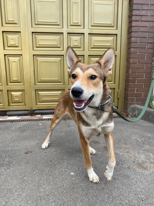 Матуся, де ти? Я так чєкаю на тебе!