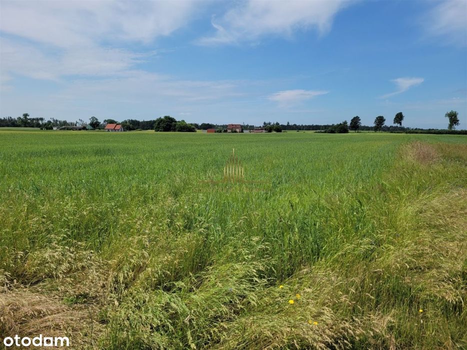 Super działka w Łochowie !!!