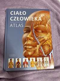 Atlas Ciało Człowieka
