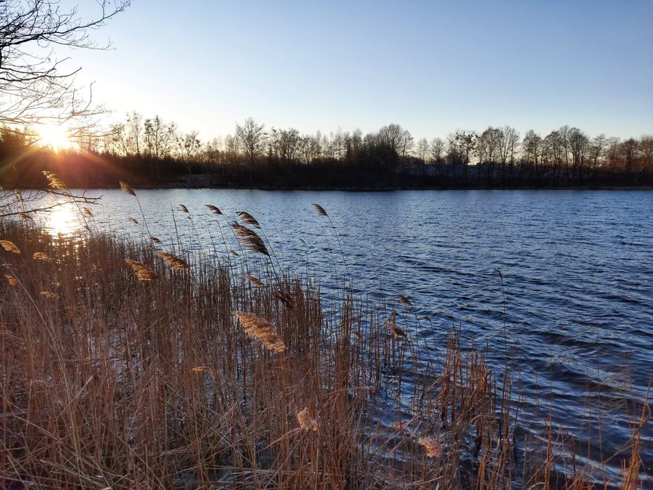 Działka nad jeziorem (jezioro, las, góry)