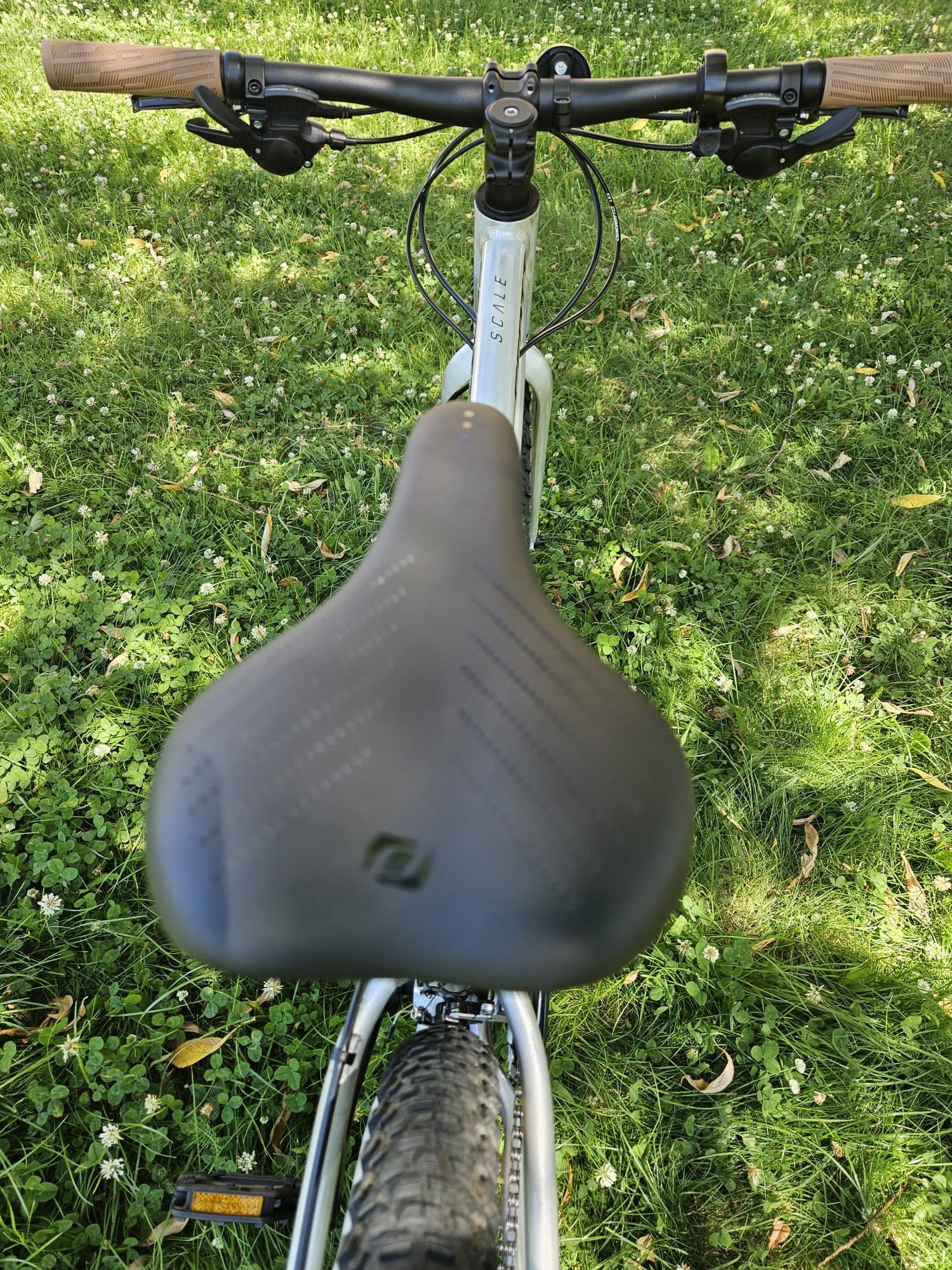 Rower Scott Scale