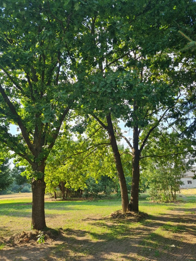Sprzedam działkę budowlaną 1500m2