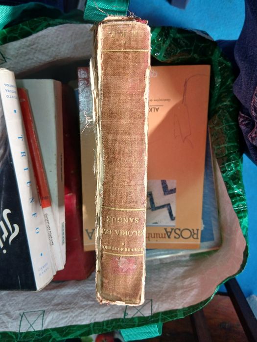 Nuno de Montemor, Glória em Sangue