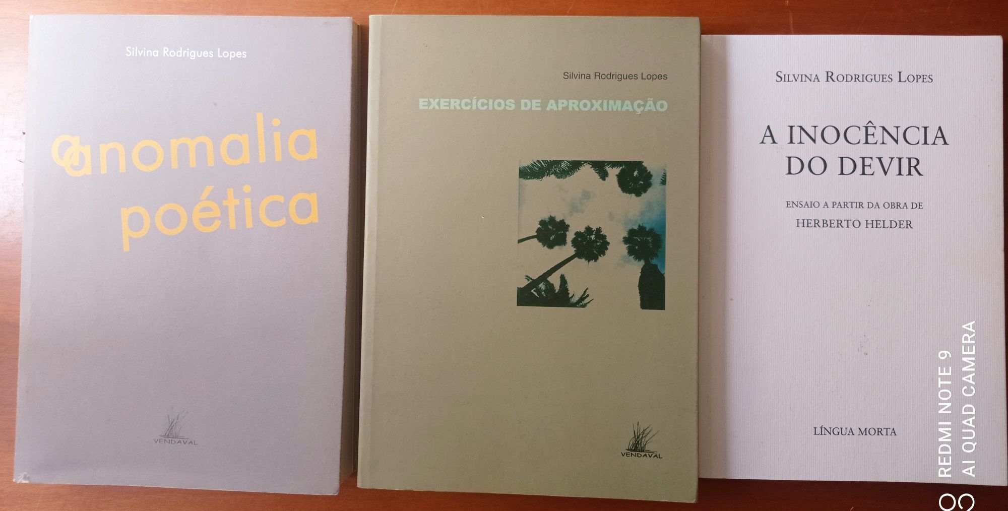 2 livros de Silvina Rodrigues Lopes