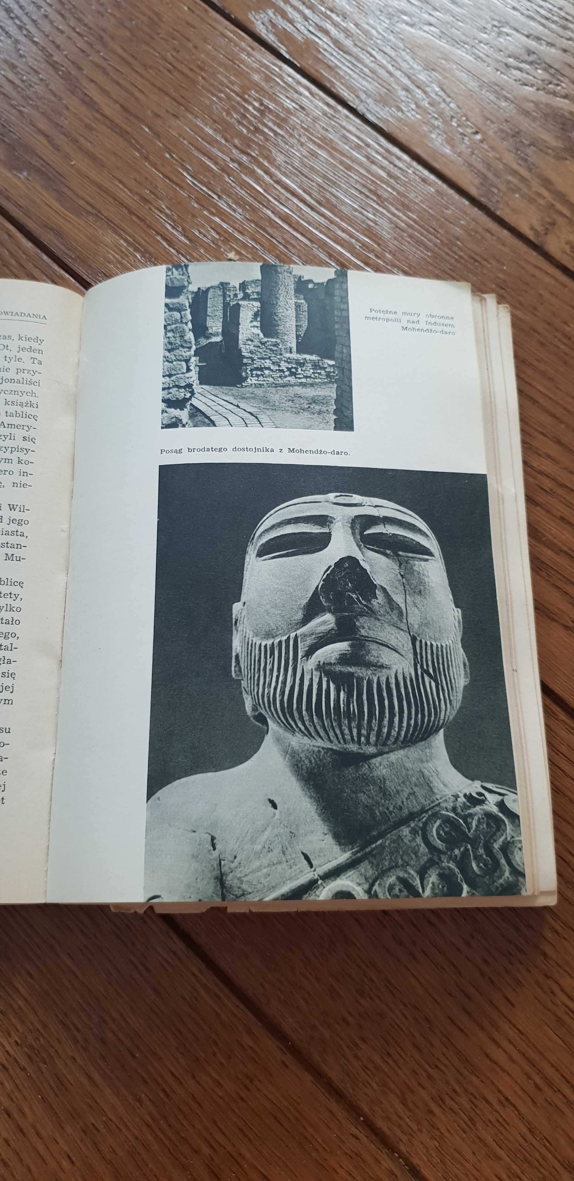 Książka rok 1965 "Rumaki Lizypa" Zenon Kosidowski