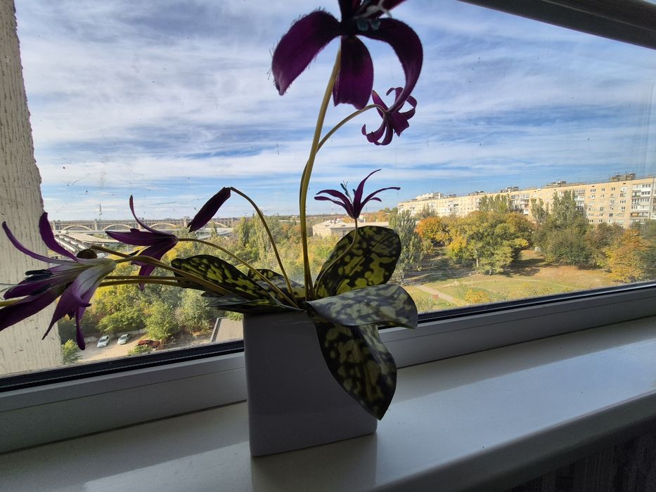 Продам велику трикімнатну квартиру- VIP, центр, Набережна, пляж. FINK