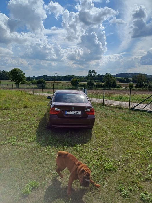 Bmw e90 318i samochód sprawny