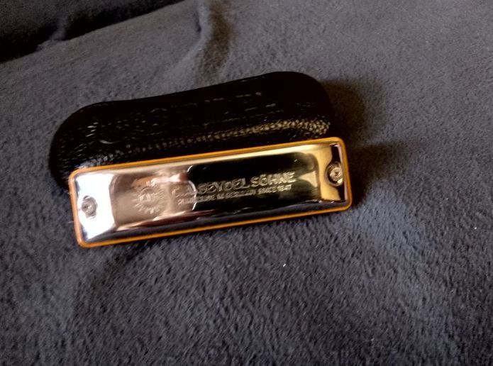 Губная гормошка нова