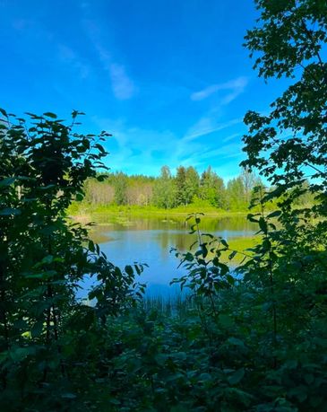 Działka leśna 9.79 ha z prywatnym stawem 0.5 ha Gołdap