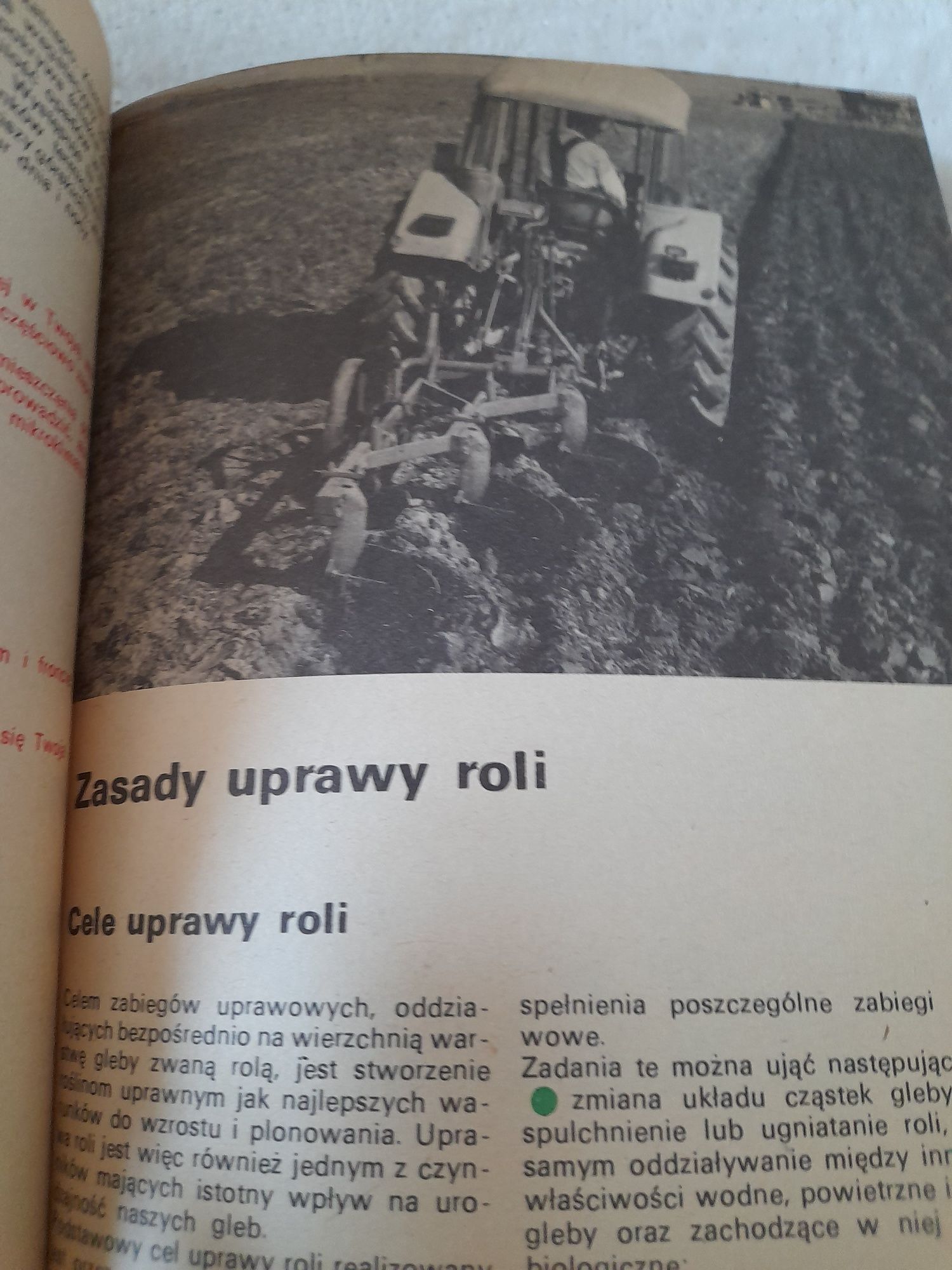 Nowoczesna uprawa roślin 1981 r