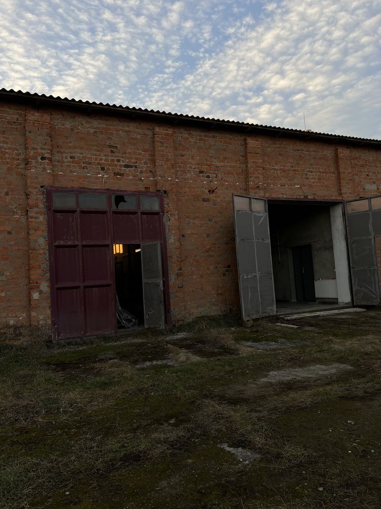 Продаж приміщення з земельною ділянкою в Новоселиці