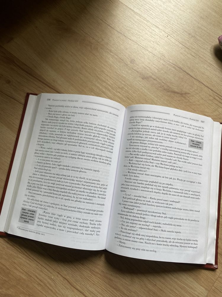 W pustyni i w puszczy henryk sienkiewicz literatura klasyka lektura